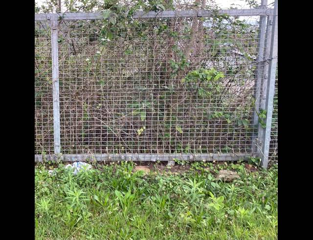 560M² VACANT LAND FOR SALE IN SIGNAL HILL